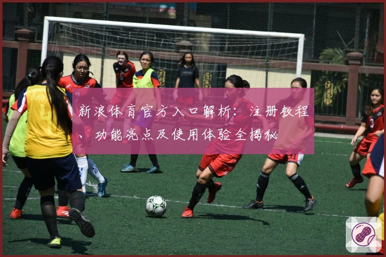 新浪体育官方入口解析：注册教程、功能亮点及使用体验全揭秘