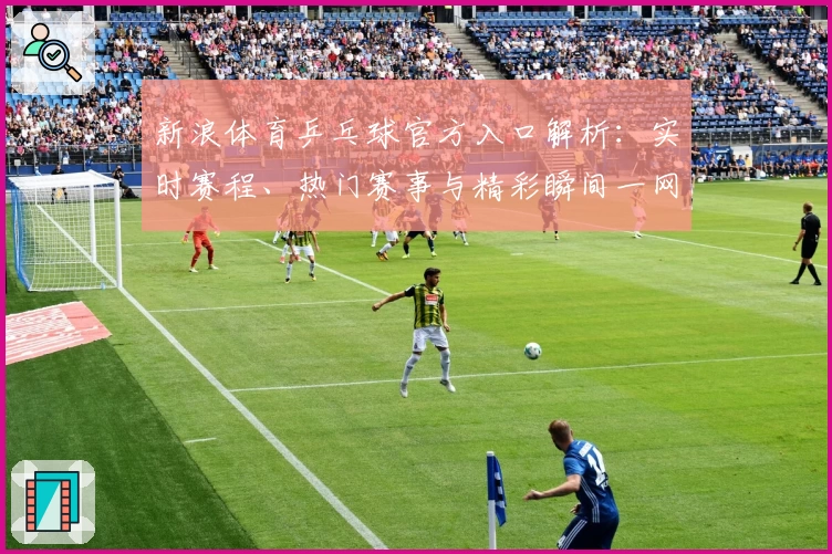新浪体育乒乓球官方入口解析：实时赛程、热门赛事与精彩瞬间一网打尽
