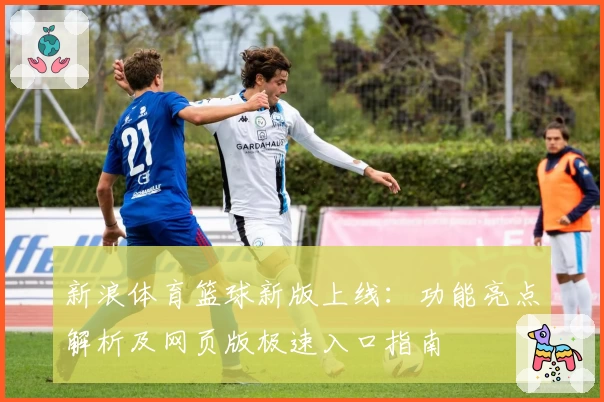 新浪体育篮球新版上线：功能亮点解析及网页版极速入口指南