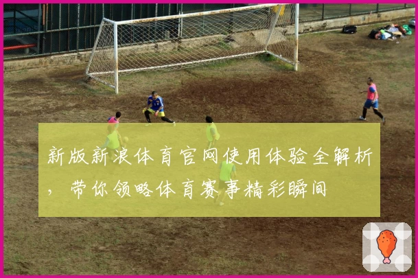 新版新浪体育官网使用体验全解析，带你领略体育赛事精彩瞬间