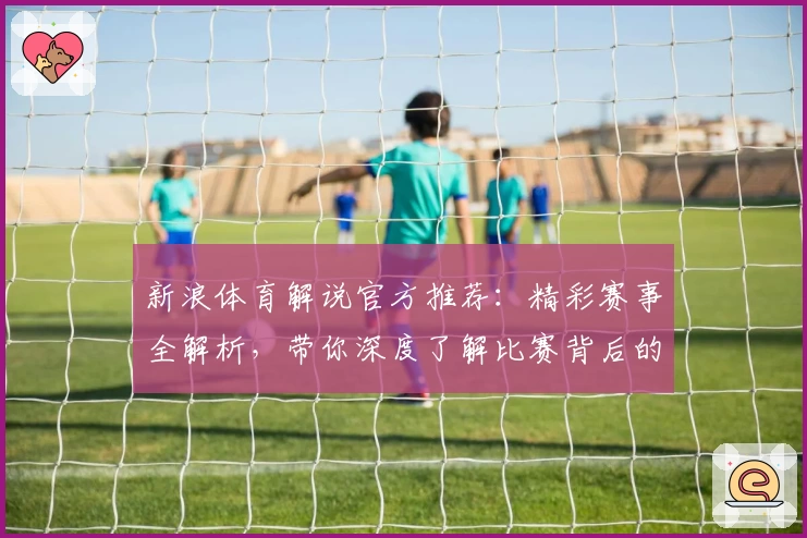 新浪体育解说官方推荐：精彩赛事全解析，带你深度了解比赛背后的故事