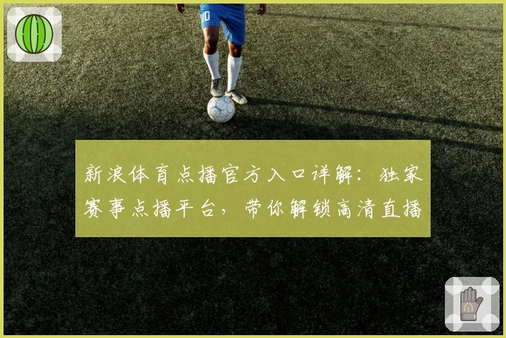 新浪体育点播官方入口详解：独家赛事点播平台，带你解锁高清直播观看新体验