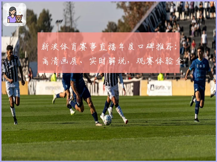 新浪体育赛事直播年度口碑推荐：高清画质、实时解说，观赛体验全面升级