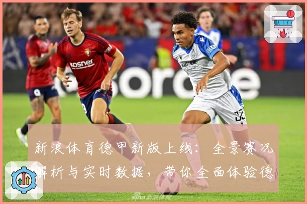 新浪体育德甲新版上线：全景赛况解析与实时数据，带你全面体验德甲激情