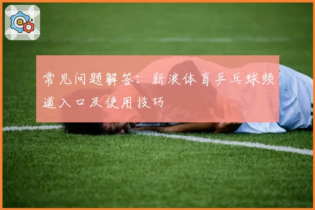 常见问题解答：新浪体育乒乓球频道入口及使用技巧